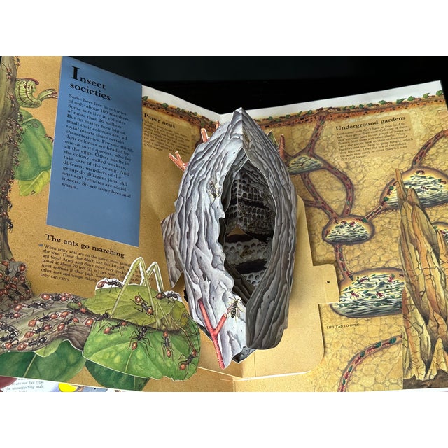 Bug Pop Up Book For Sale In New York - Image 6 of 8