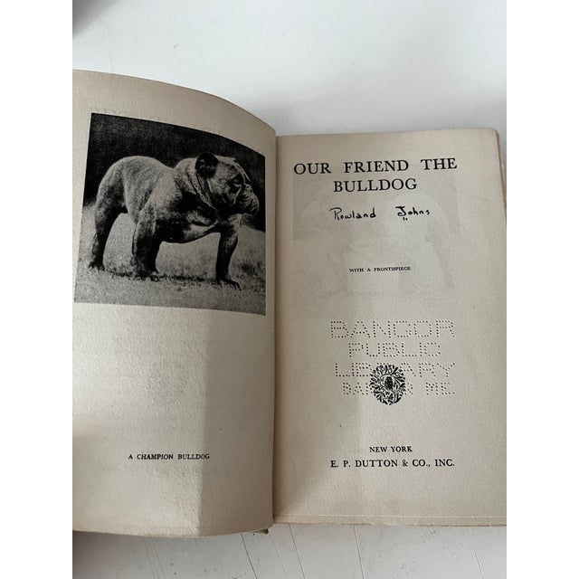 Shabby Chic 1934 Our Friend the Bull Dog Book For Sale - Image 3 of 5