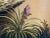 Large Original Oil Painting, Tropical Landscape With Palms, Signed Vitaly For Sale - Image 12 of 12