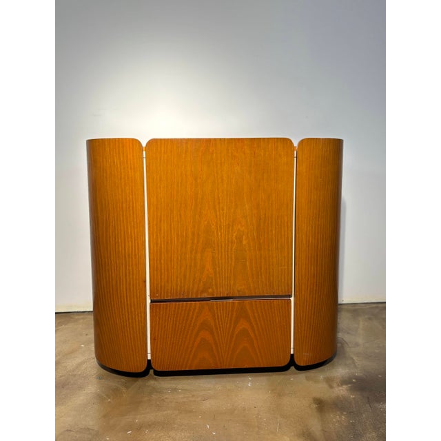 Living Room Dry Bar Cabinet attributed to Carlo De Carli for Fiarm, Italy, 1965 For Sale - Image 13 of 15