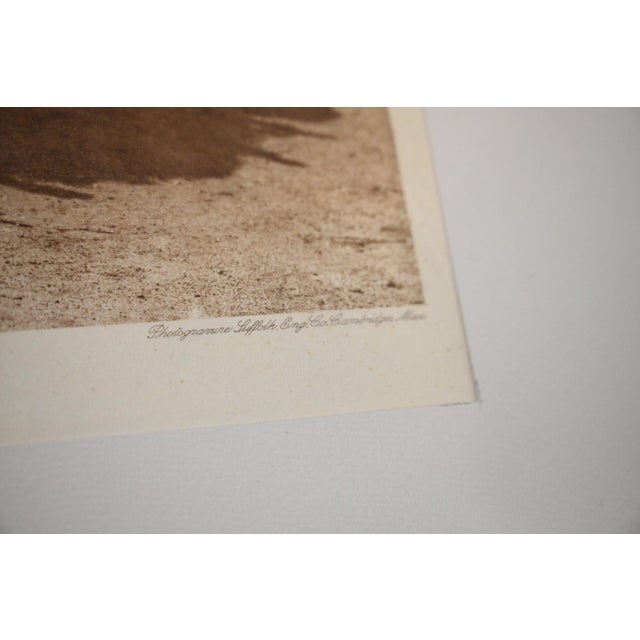 Tan Edward S. Curtis "Diegueño House at Campo" Gampi Tissue Photogravure, 1926, Cardozo Collection For Sale - Image 8 of 9