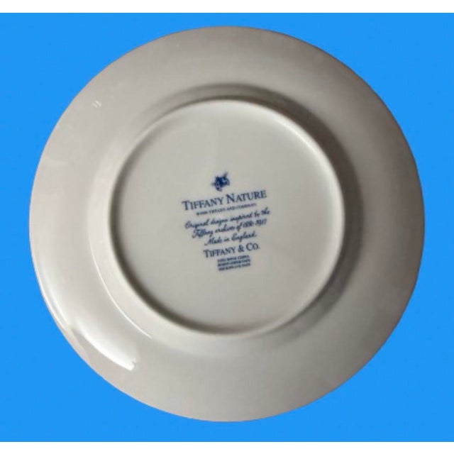 Tiffany & Co. Botanical Plates Collection Circa 1990s - Set of 12 For Sale - Image 11 of 11
