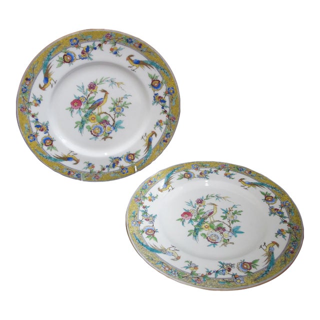 Minton China Exotic Bird of Paradise & Flower Sinclair 10 1/4" Dinner Plate Pair For Sale