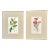Set of Two 19th Century Hand Colored Lithographs of Red Flowers For Sale