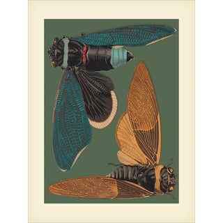 Bugs by Seguy Print #2 Reproduction For Sale