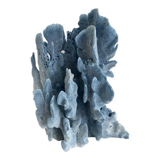 Natural Blue Coral Specimen For Sale