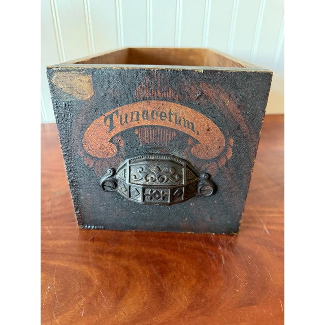 Antique Apothecary Drawer – Tunacetum Label – Original Hardware – Dovetail Construction – Primitive Pharmacy Storage For Sale In Boston - Image 6 of 13