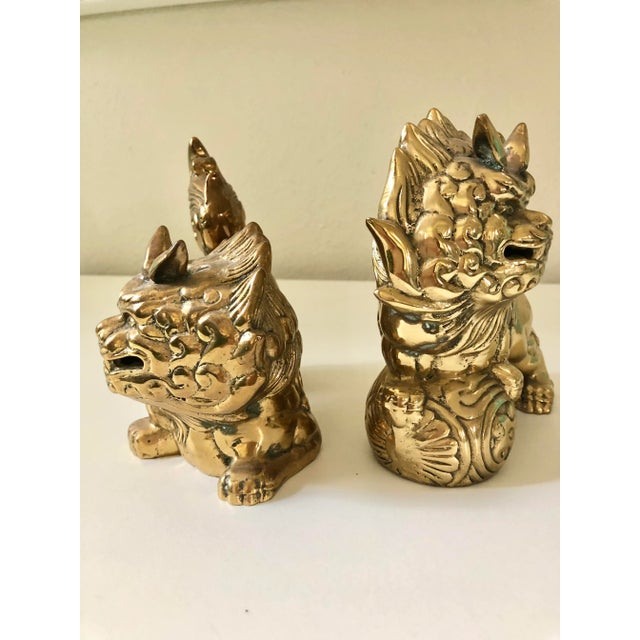 Vintage Brass Foo Dogs a Pair Chairish