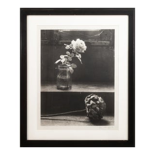 John Stewart - Rose and Artichoke, 1992 Signed Gelatin Silver Print Contemporary For Sale
