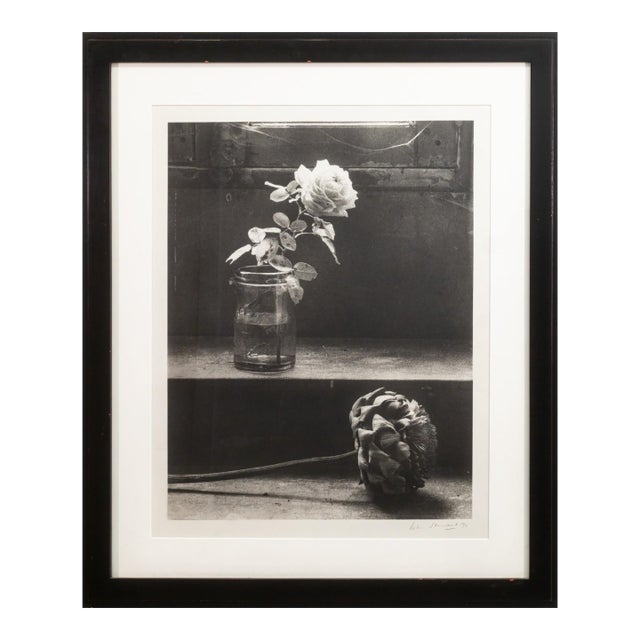 John Stewart - Rose and Artichoke, 1992 Signed Gelatin Silver Print Contemporary For Sale