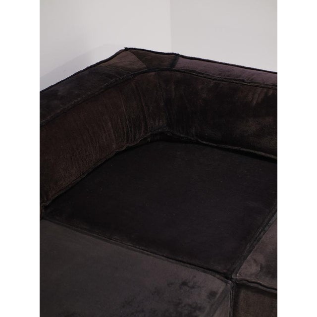 Trio Modular Sofa from Cor, 1970s, Set of 8 For Sale - Image 13 of 16