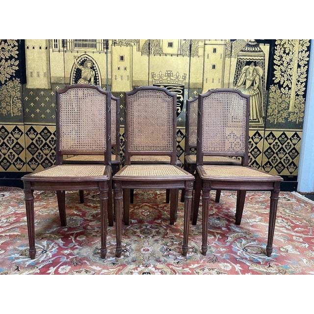 Louis Xvi Chairs in Cannage, Set of 6 For Sale - Image 11 of 11