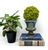 Elegant Wade Pottery porcelain pedestal vase featuring a vibrant blue interior and a softly graduated exterior with...