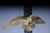 Patriotic Eagle Wall Decoration in Bronze Brass and Gold For Sale - Image 14 of 18