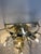 2020s Clear “Conchiglie” Murano Glass Gold Wall Sconce by Simoeng For Sale - Image 5 of 8