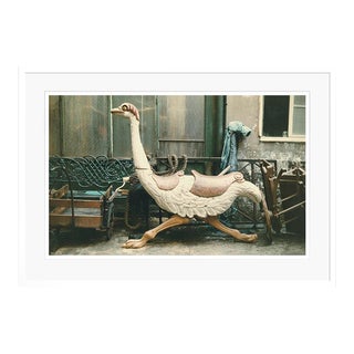 Paris Ostrich 1950s by Peter Cornelius Framed C-Print For Sale