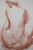 Antoniucci VOLTI (1871-1958) Nude from Behind Original color lithograph On wove paper, 28 × 38 cm (approx. 11 x 15 inches)...