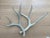 Ivory Vintage Natural Deer Antler - a Pair For Sale - Image 8 of 13