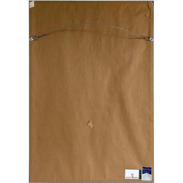 Brazilian Kayapó Wall Decor | Amazon Indigenous Feather Headdress 'Cocar' For Sale - Image 4 of 11