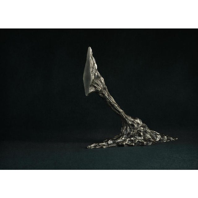 Contemporary Omnia Vanitas Vanité 8 Candelabra in Patinated Cast Bronze by William Guillon For Sale - Image 3 of 12