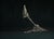 Contemporary Omnia Vanitas Vanité 8 Candelabra in Patinated Cast Bronze by William Guillon For Sale - Image 3 of 12