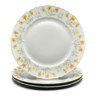 Vintage Set of 4 Haviland Limoges France “Butter-Cup” Porcelain Dinner Plates With Floral Border For Sale