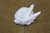 White Antique Art Deco Austrian Augarten Wien Porcelain Preening Rabbit Figurine 3.5" For Sale - Image 8 of 14