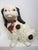 Staffordshire Style English Spaniels Cavalier Comforter Dogs For Sale - Image 11 of 11