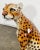 Gold Vintage Italian Capodimonte Ceramic Cheetah Sculpture For Sale - Image 8 of 11