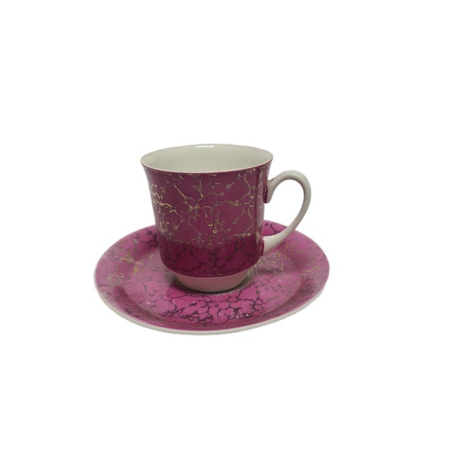 Vintage Polish Cup and Saucer from Ćmielów Pottery, 1970s, Set of 2, in Worn conditions. Designed 1970 to 1979