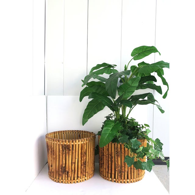 Wicker Bamboo Planter Pot Holder Cachepot, 2 Avail., Circa Mid-Late 20th Century For Sale - Image 10 of 16