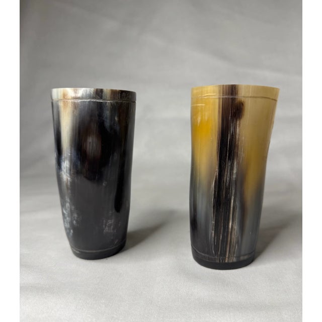 Pair of Rustic European Horn Vases For Sale - Image 9 of 12
