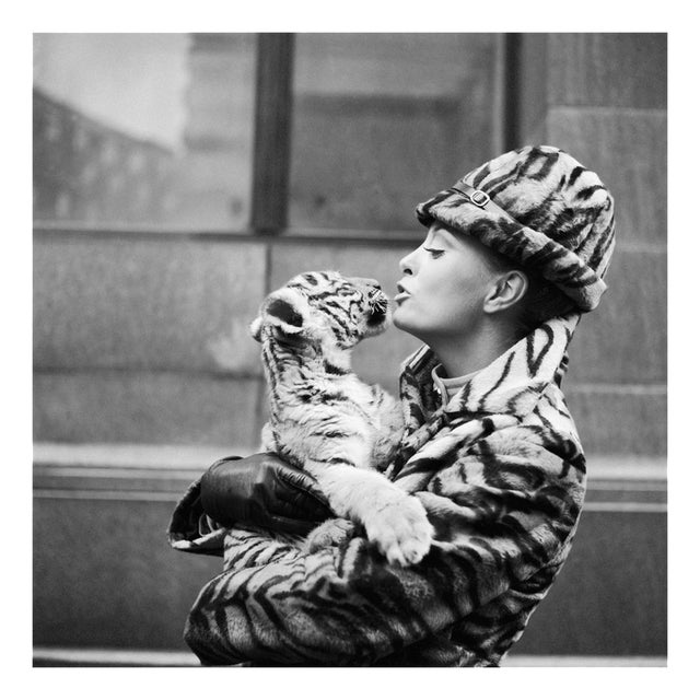 Getty Archive Photographer, Tiger Lady, Photographic Print For Sale