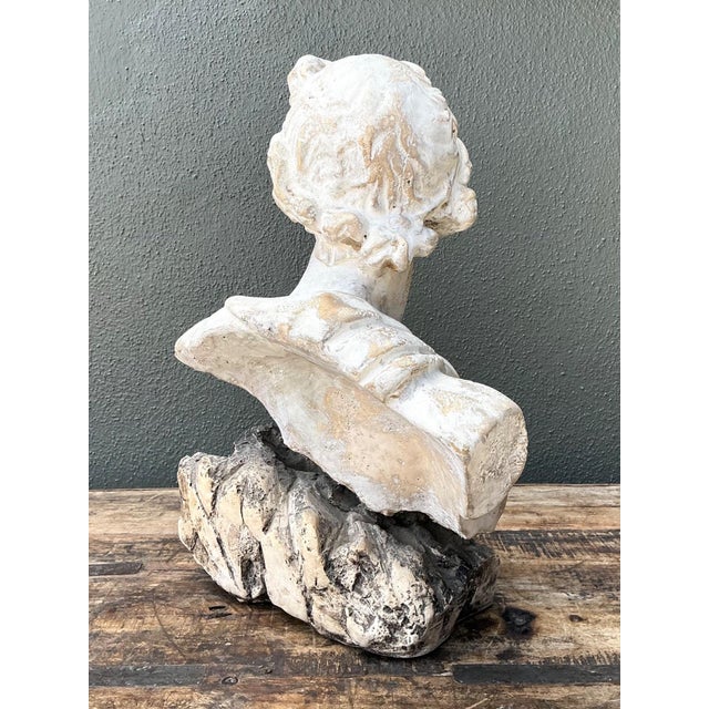 Metal Vintage Cast Stone Bust of Apollo Belvedere For Sale - Image 7 of 18