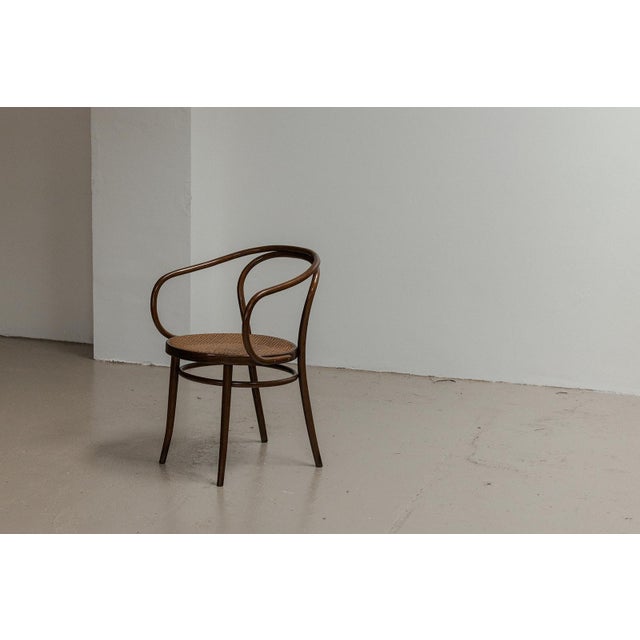 Model 209 Dining Chairs from Thonet, 1960s, Set of 6 For Sale - Image 4 of 13