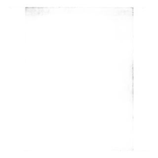 Roman Shade, Inside Mount, Brand New - 35" X 56" For Sale