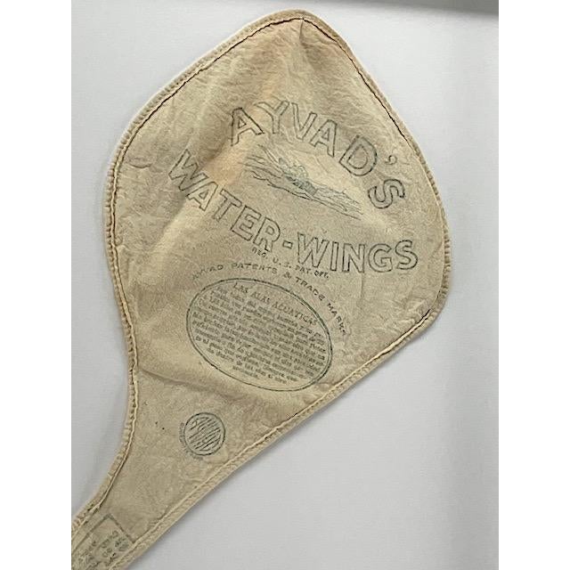 1920s Framed Antique Water-Wings For Sale - Image 5 of 5