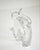 Mid-Century Modern Murano Glass Cat Sculpture by Licio Zanetti, Italy, 1970s For Sale - Image 9 of 18