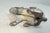 Antique 1920's Cast Iron Bunny Rabbit Animal Still Coin Bank – A.c. Williams For Sale - Image 9 of 9