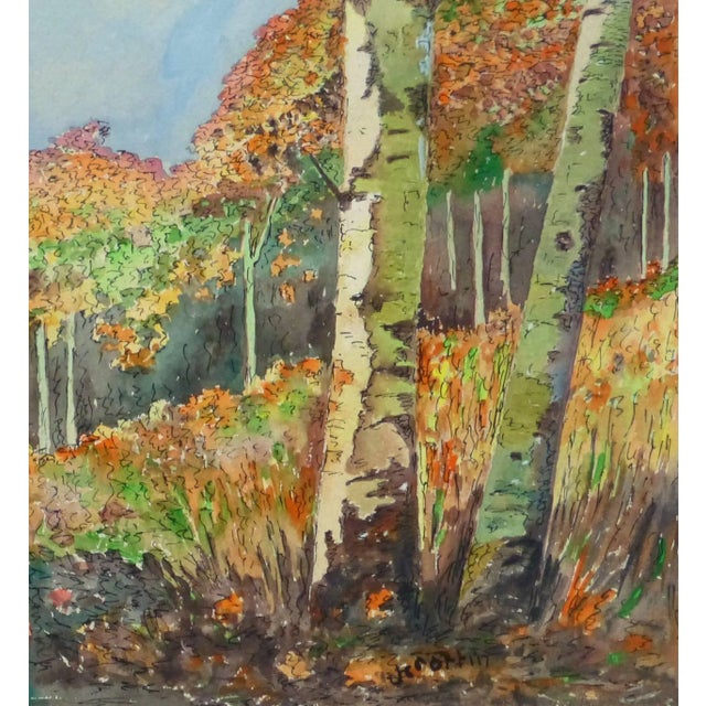Exquisite ink and watercolor landscape of a birch grove rich in autumn colored foliage by J. Rottin, circa 1960. Signed...