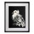 Pablo Picasso Dove Original Stone Lithograph, Mourlot Frères Paris, 1949, Museum Framed For Sale
