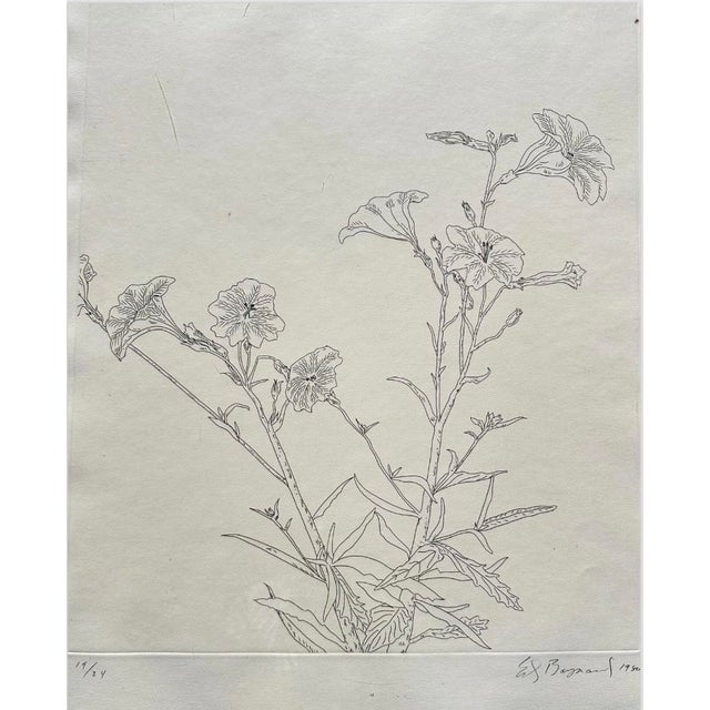 1980s Ed Baynard (American, 1940–2016) Floral, Flowers Etching Framed For Sale - Image 5 of 12