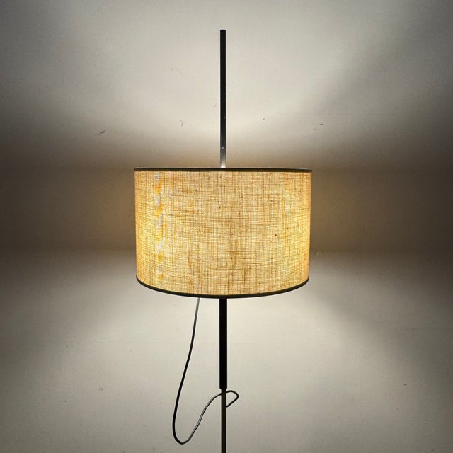 Telescopic Lamp by Ostuni & Forti for Oluce, 1960s For Sale - Image 12 of 15