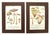 FREE SHIPPING ANYWHERE IN THE CONTINENTAL US! This is a set of 5 vintage mushroom offset lithograph prints from the book...