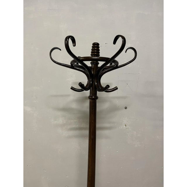 Art Nouveau Brown Beech Coat Rack For Sale - Image 3 of 4
