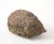 Reconstituted Stone Hedgehog Garden Ornament, 20th Century For Sale - Image 4 of 10