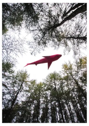 Liam Hopkins, Flying Shark 01, Photographic Print