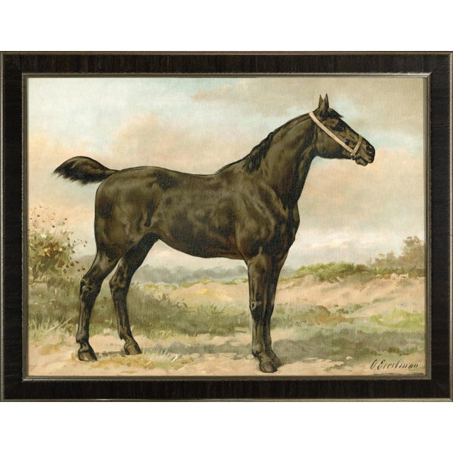 Irish Horse by Eerelman Framed in Italian Wood Vener Moulding For Sale In Atlanta - Image 6 of 6