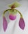 C.2015 Jurgen Reichert, Original Silicone Large, Wall Light Sculpture, titled, "Paphiopedilum Mirabilis," Silicone...
