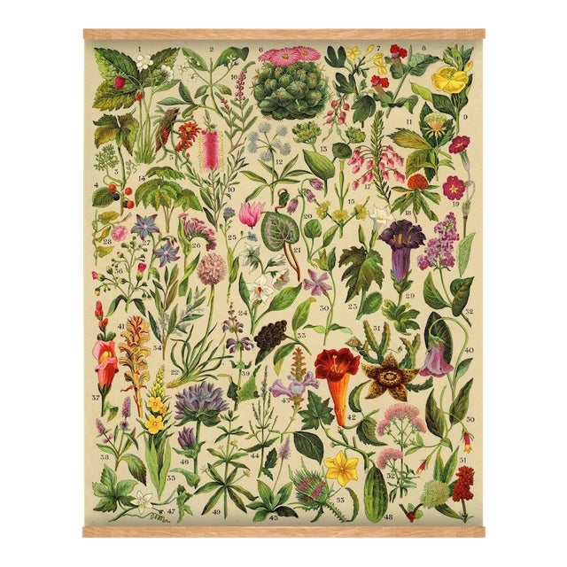 Antique 'Spanish Botanical 2" Wall Hanging For Sale